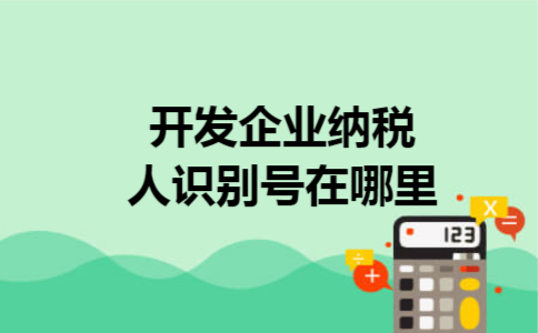 开发企业纳税人识别号在哪里