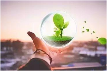 法人股东是否需要实际入资