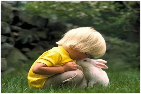 预报增值税未开票怎么做账