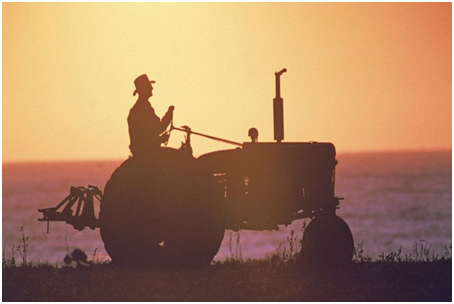 自产自销农产品的账务处理