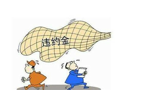 购买信息技术服务做哪个科目