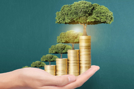 收到的生育金如何入账