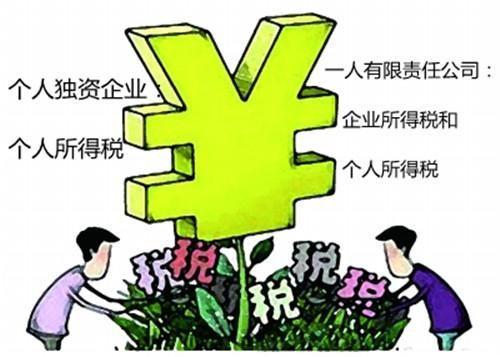 有限责任公司自然人独资交什么税