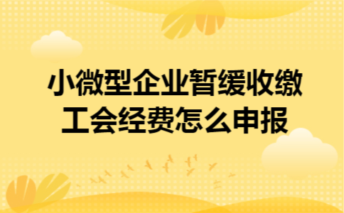 小微型企业暂缓收缴工会经费怎么申报