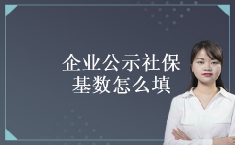 企业公示社保基数怎么填