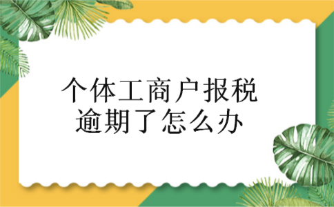 个体工商户报税逾期了怎么办