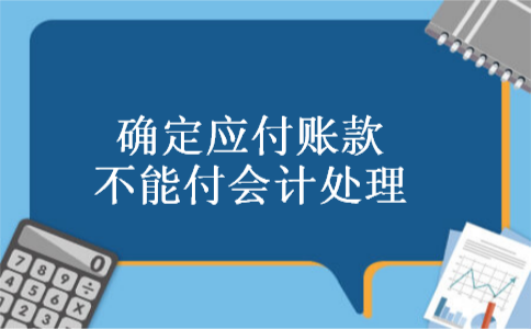 确定应付账款不能付会计处理 确定应付账款不能付会计处理