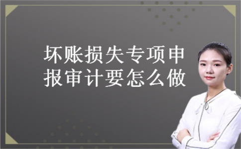 坏账损失专项申报审计要怎么做