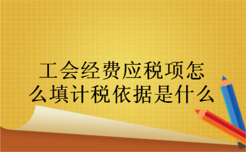 工会经费应税项怎么填计税依据是什么