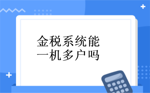 金税系统能一机多户吗