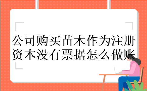 公司购买苗木作为注册资本没有票据怎么做账