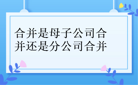 合并是母子公司合并还是分公司合并 合并是母子公司合并还是分公司合并