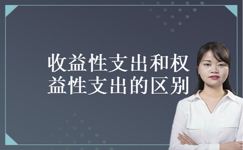 收益性支出和权益性支出的区别