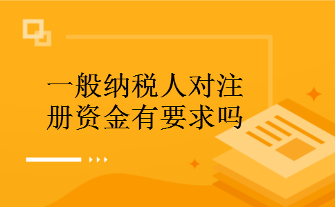 一般纳税人对注册资金有要求吗