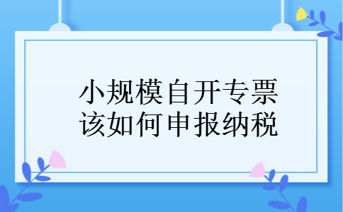 小规模自开专票该如何申报纳税