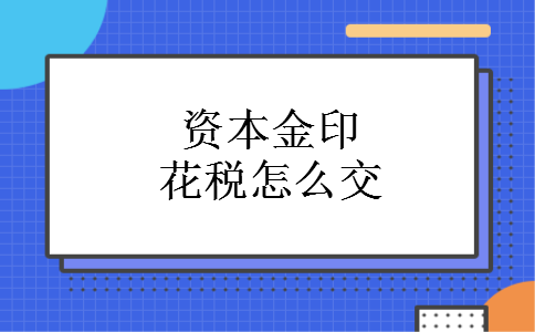 资本金印花税怎么交 资本金印花税怎么交
