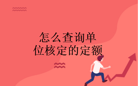 怎么查询单位核定的定额