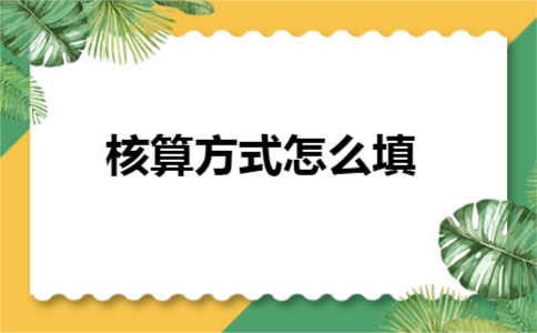核算方式怎么填