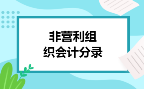 非营利组织会计分录 非营利组织会计分录