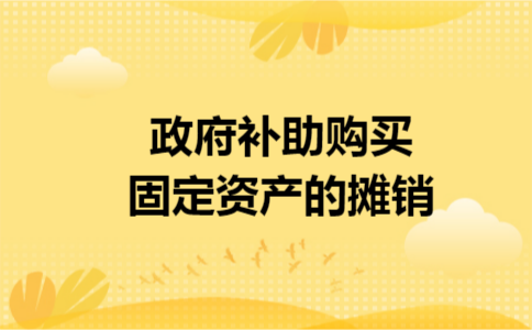 政府补助购买固定资产的摊销