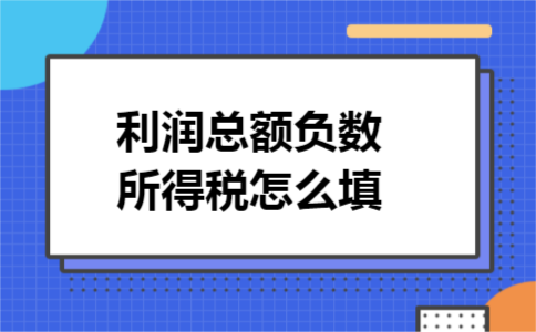 利润总额负数所得税怎么填