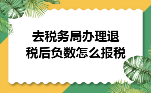 去税务局办理退税后负数怎么报税