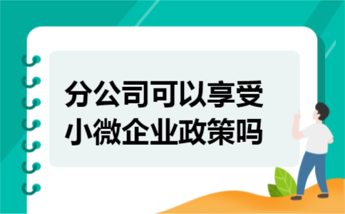 分公司可以享受小微企业政策吗