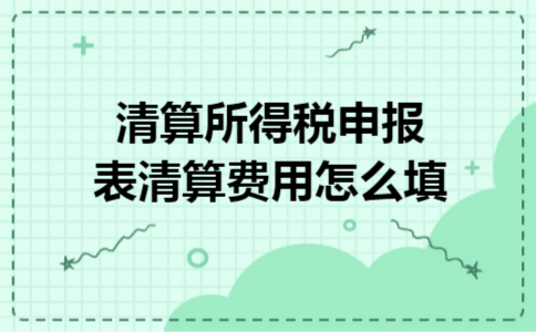 清算所得税申报表清算费用怎么填