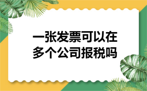 一张发票可以在多个公司报税吗