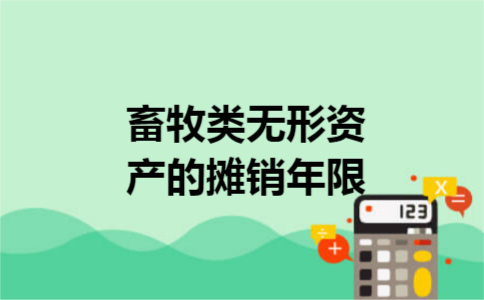 畜牧类无形资产的摊销年限