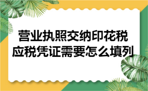 营业执照交纳印花税应税凭证需要怎么填列