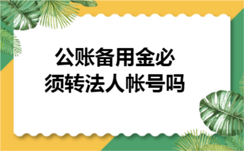 公账备用金必须转法人帐号吗