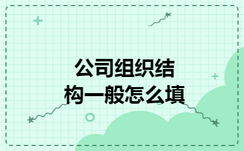 公司组织结构一般怎么填