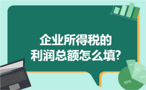 企业所得税的利润总额怎么填? 企业所得税的利润总额怎么填?