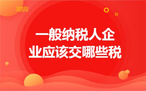 一般纳税人企业应该交哪些税