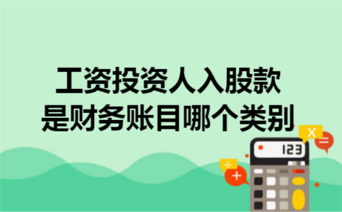 工资投资人入股款是财务账目哪个类别 工资投资人入股款是财务账目哪个类别