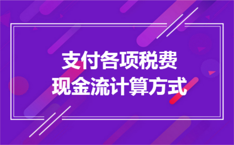 支付各项税费现金流计算方式