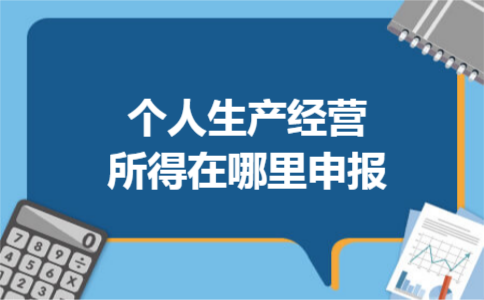  个人生产经营所得在哪里申报