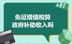 免征增值税算政府补助收入吗