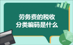 劳务费的税收分类编码是什么