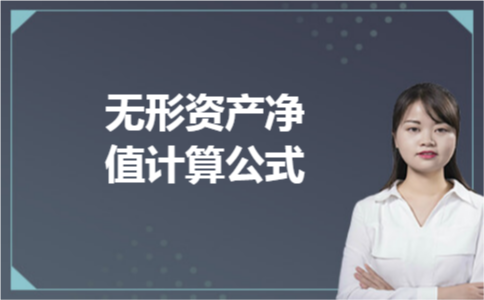 无形资产净值计算公式