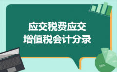 应交税费应交增值税会计分录