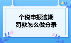个税申报逾期罚款怎么做分录