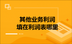 其他业务利润填在利润表哪里