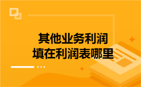 其他业务利润填在利润表哪里 其他业务利润填在利润表哪里