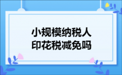 小规模纳税人印花税减免吗