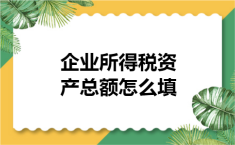 企业所得税资产总额怎么填 企业所得税资产总额怎么填