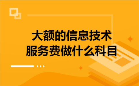 大额的信息技术服务费做什么科目