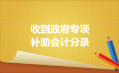 收到政府专项补助会计分录