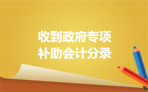 收到政府专项补助会计分录